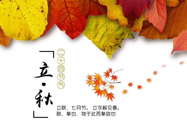 立秋節(jié)日海報設(shè)計