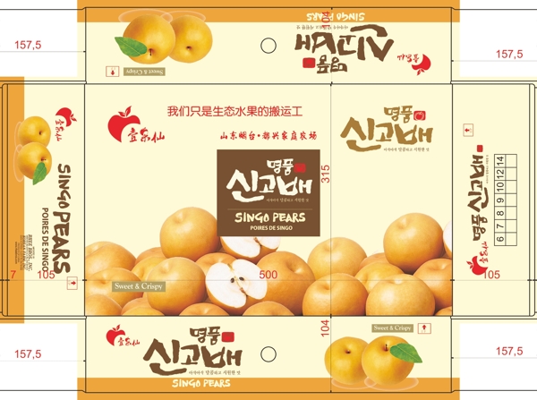 韓國梨包裝