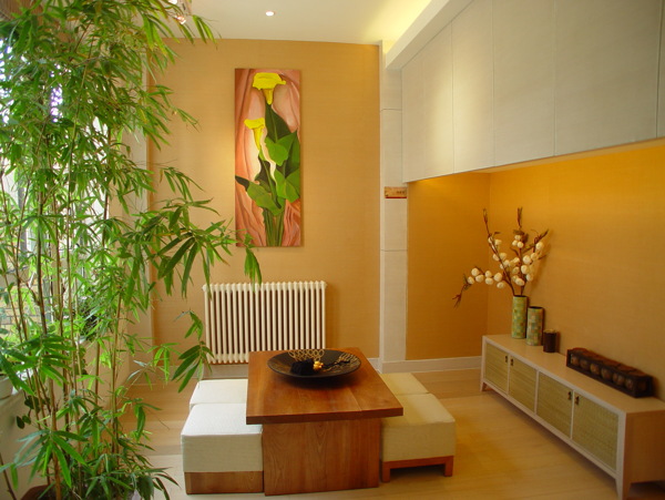 室內(nèi)設(shè)計(jì)實(shí)景照片資料圖片