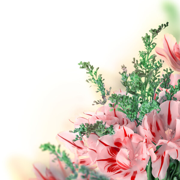 粉色花束圖片