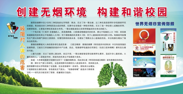 吸煙對人體的危害圖片
