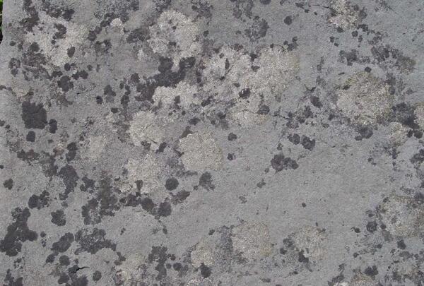 22261金屬綜合