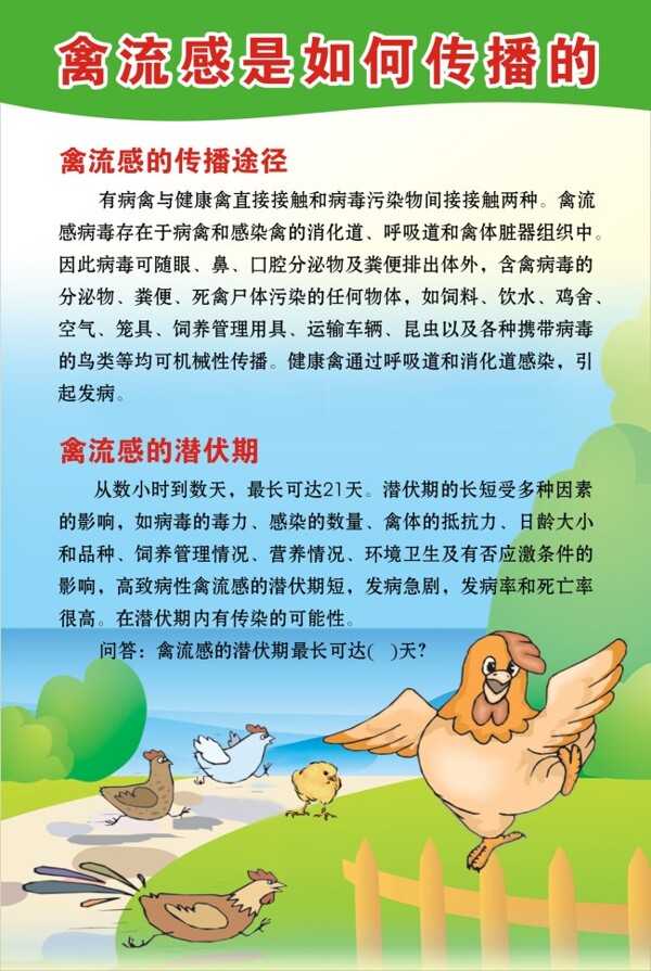 禽流感如何傳播