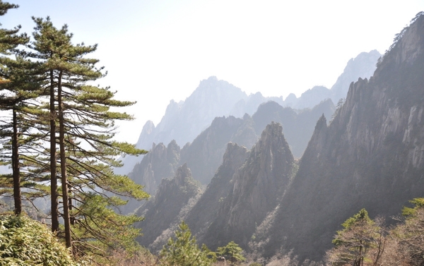 黃山圖片