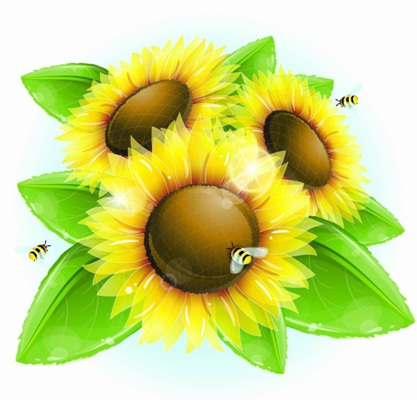 太阳花蜜蜂梦幻背景图片
