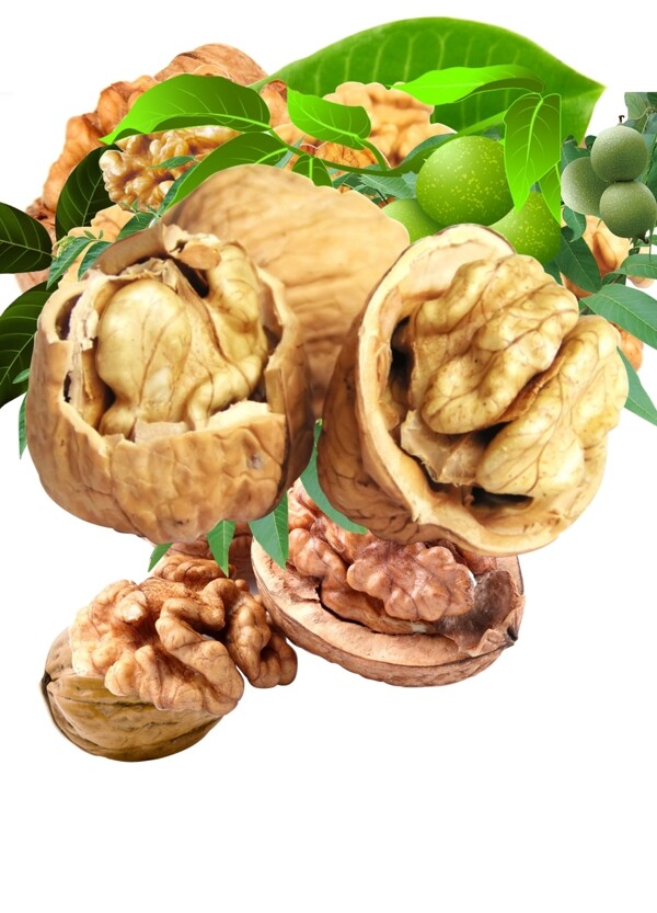 核桃素材