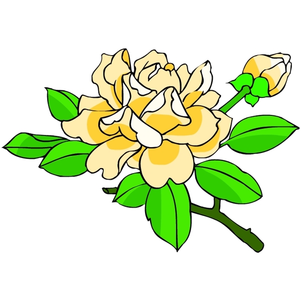 花卉古典插畫