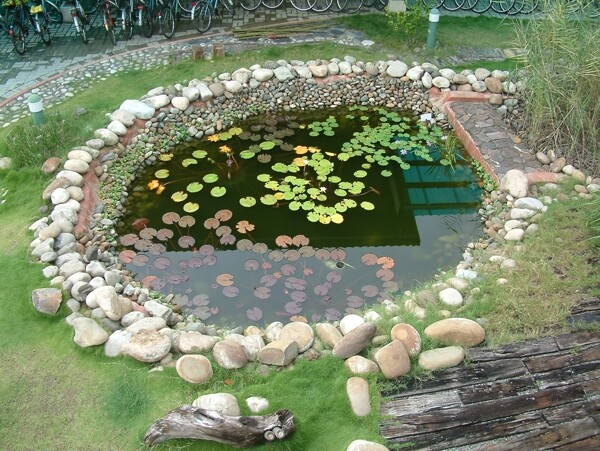 生态池图片