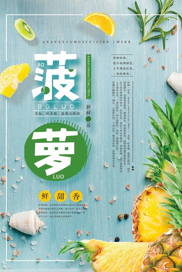 菠蘿