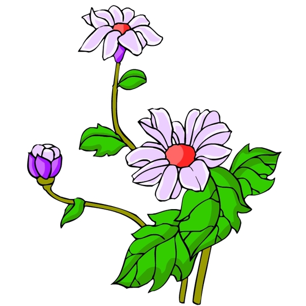 花卉古典插畫(huà)