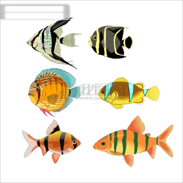 魚