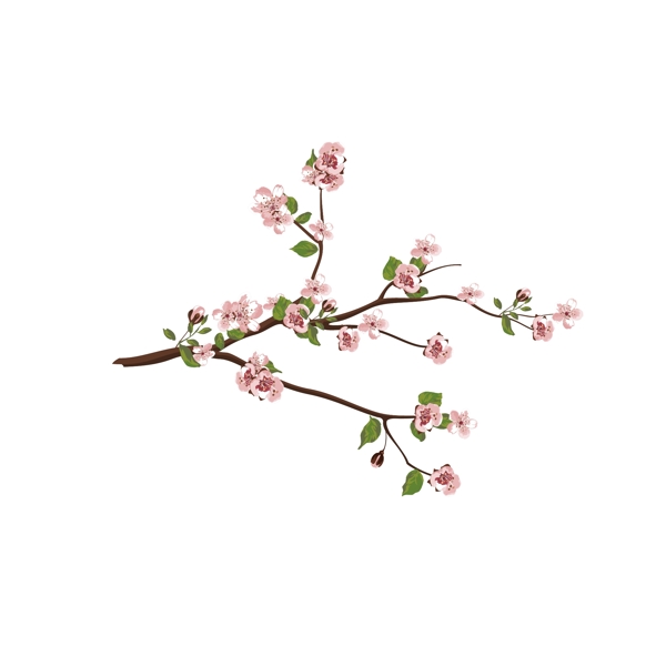 手繪風(fēng)水彩寫(xiě)實(shí)春天桃花花枝