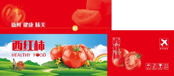 西红柿包装番茄包装图片