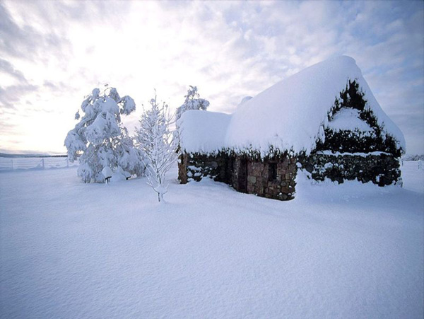 雪景