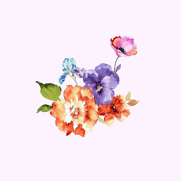 位圖psd植物花朵pop原創(chuàng)免費(fèi)素材
