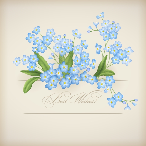 情人節(jié)花卉卡片設(shè)計矢量素材