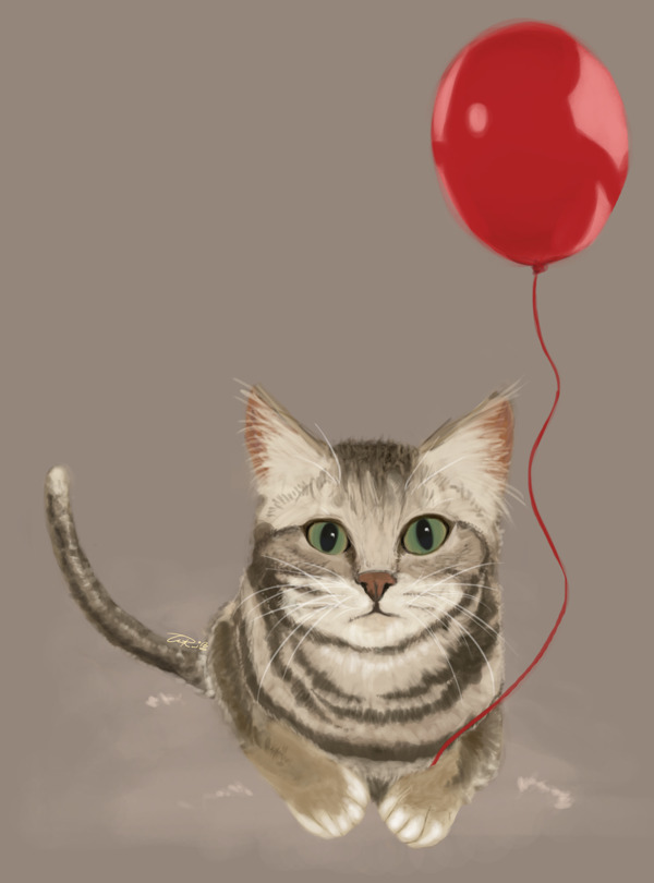 我的CatTimo