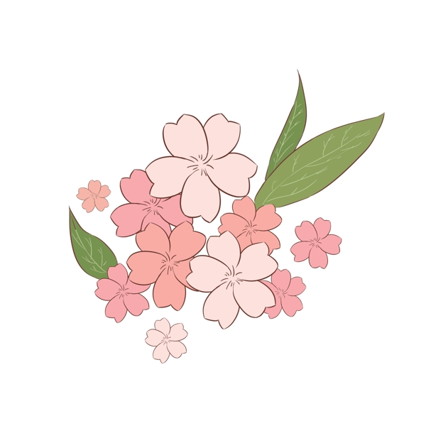粉色樱花花瓣插画