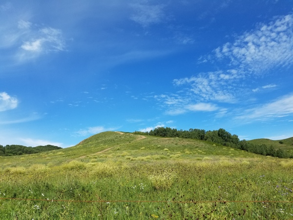 藍天白云草地