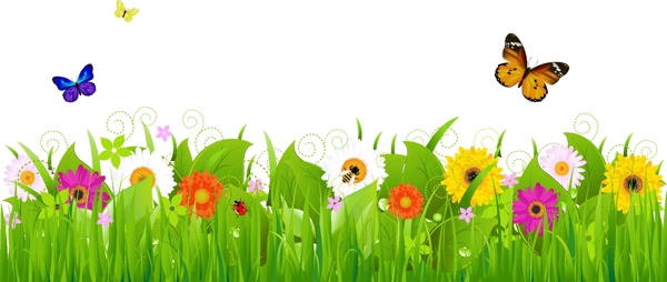花朵与绿叶素材