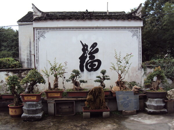 盆景村莊小院兒