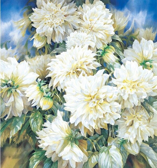 位圖寫意花卉植物花朵免費素材