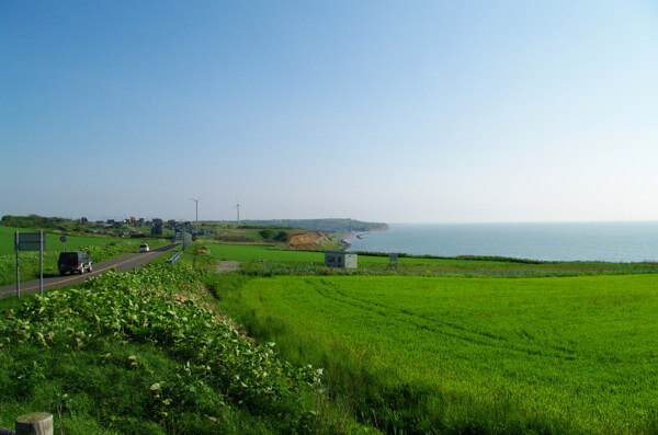 湖邊農(nóng)田