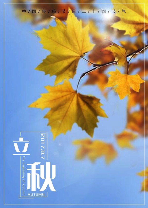 立秋秋天落葉海報