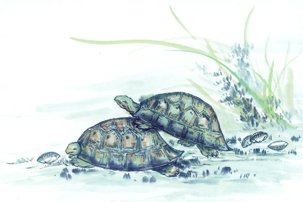 古圖繪畫(huà)動(dòng)物魚(yú)類(lèi)生物