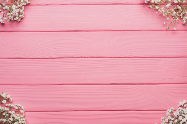 粉色木质地板背景小雏菊