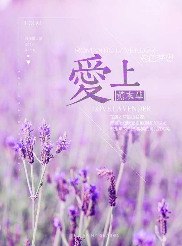 紫色唯美爱上薰衣草海报设计