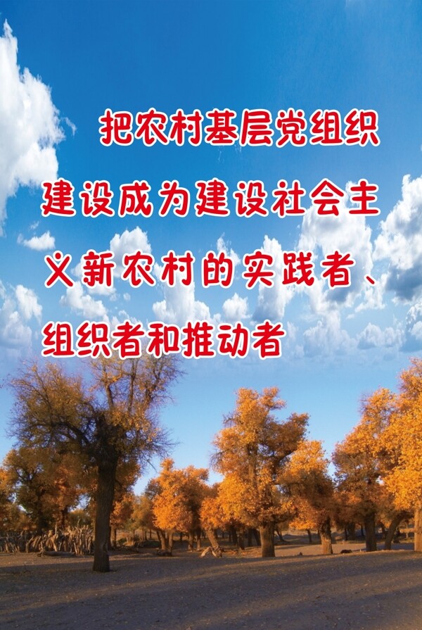胡楊展板背景