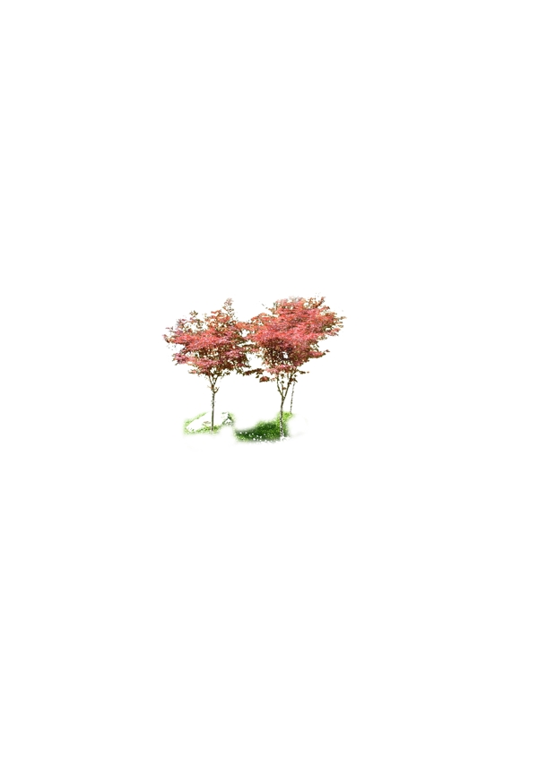 紅楓PSD素材