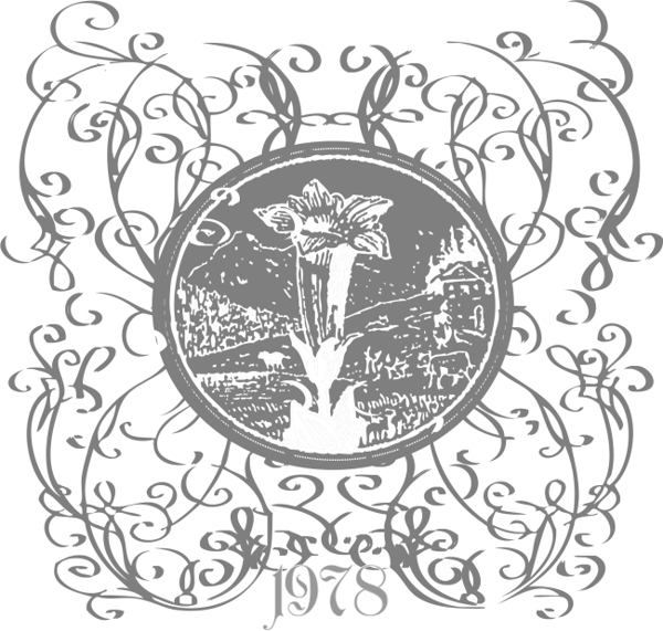 花紋邊框設(shè)計圖案