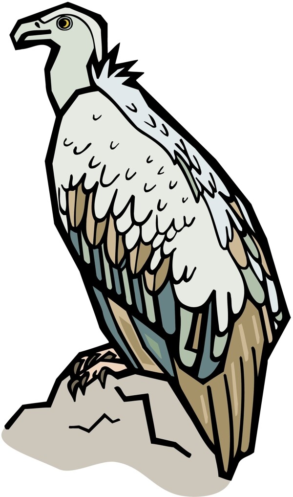 各種鳥類鳥動(dòng)物矢量素材EPS格式1564