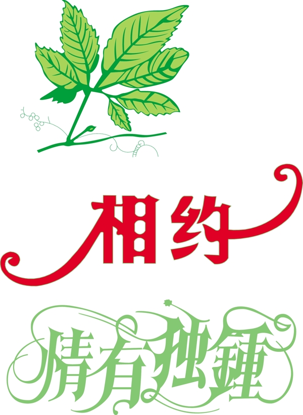 一片葉圖片