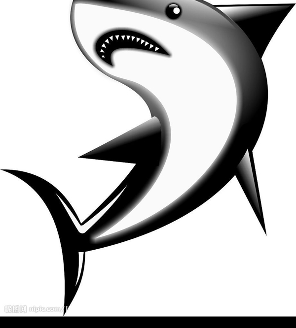 鯊魚圖片