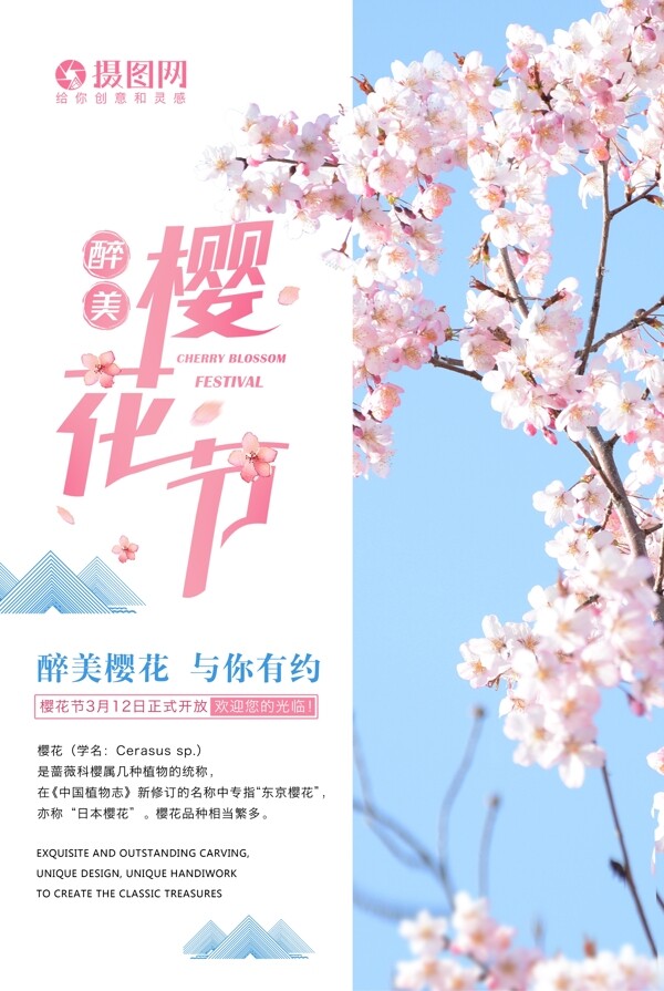 小清新简洁樱花节海报