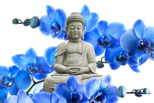 蓝色花朵中的佛像图片