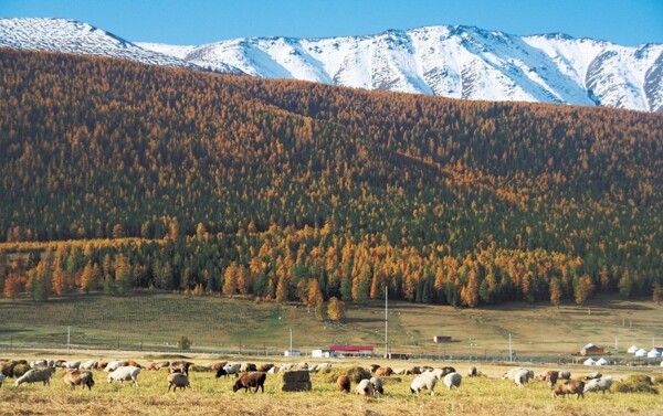 新疆天山图片