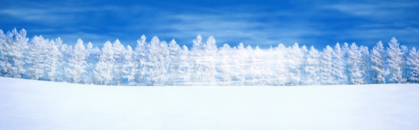 冬季雪树主题全屏背景素材12
