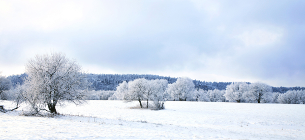 美丽冬季雪景图片