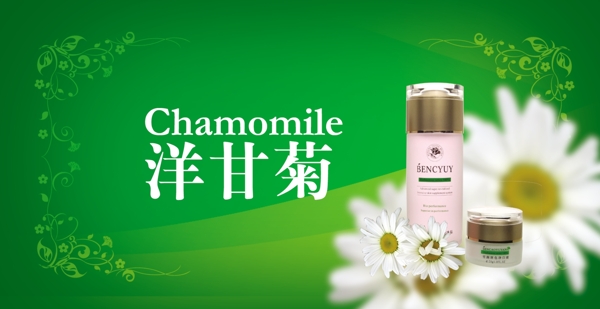 洋甘菊護(hù)膚品海報(bào)圖片