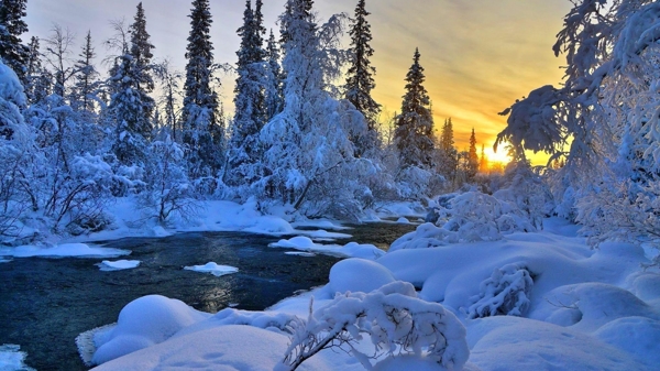 唯美的雪景