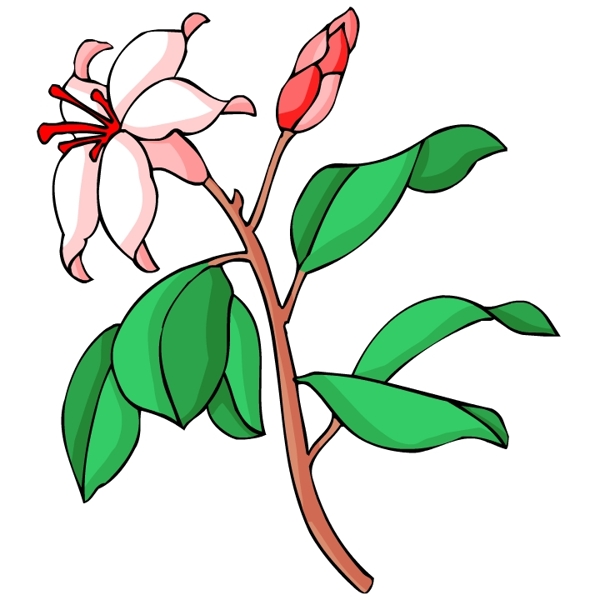 花卉古典插畫