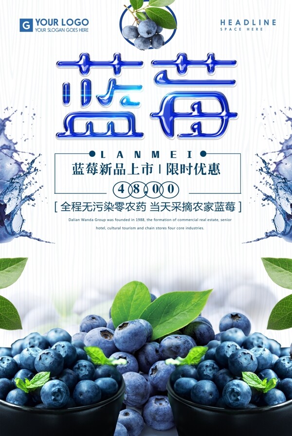 新鲜水果蓝莓海报.psd