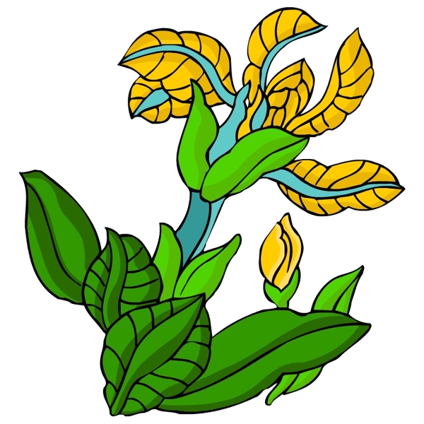 花卉古典插畫