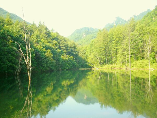 風(fēng)景畫(huà)圖片