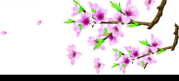 矢量桃花圖片