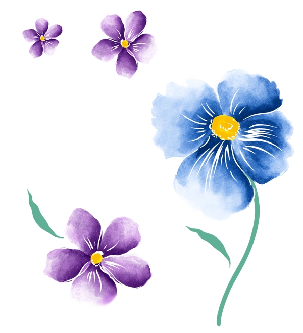 水彩花圖片